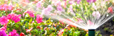 Commercial Water Conservation Best Practices